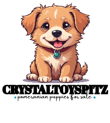 Crystal Toy Spitz Pomeranian Puppy Home